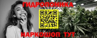 гашик Кулебаки