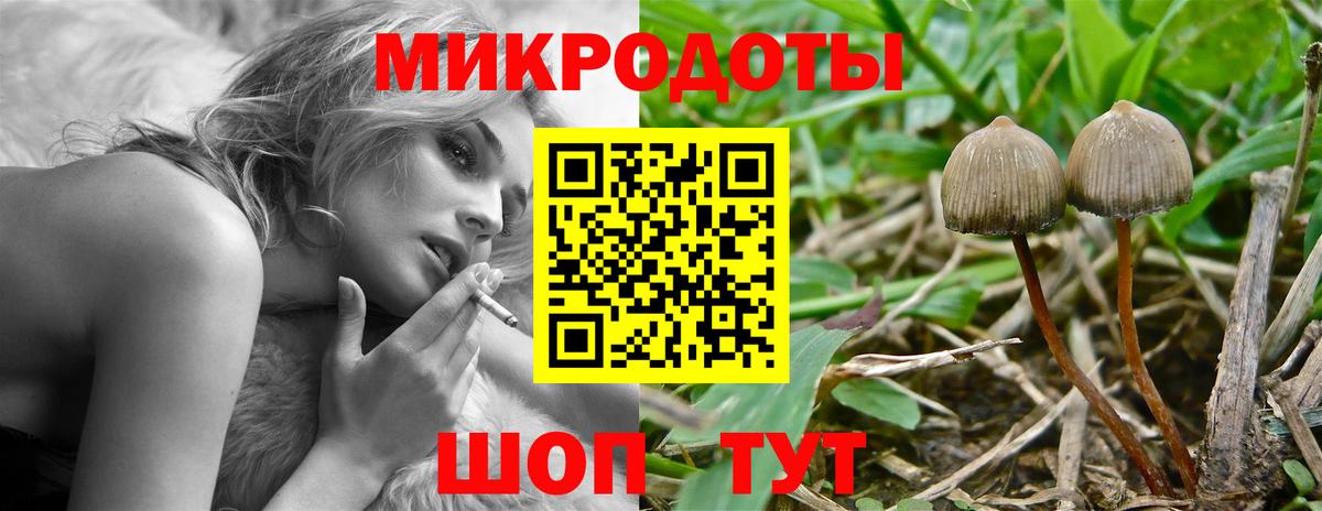 Галлюциногенные грибы Cubensis  Псилоцибиновые грибы Cubensis  купить наркотик  Вход с VPN  Дзержинский 